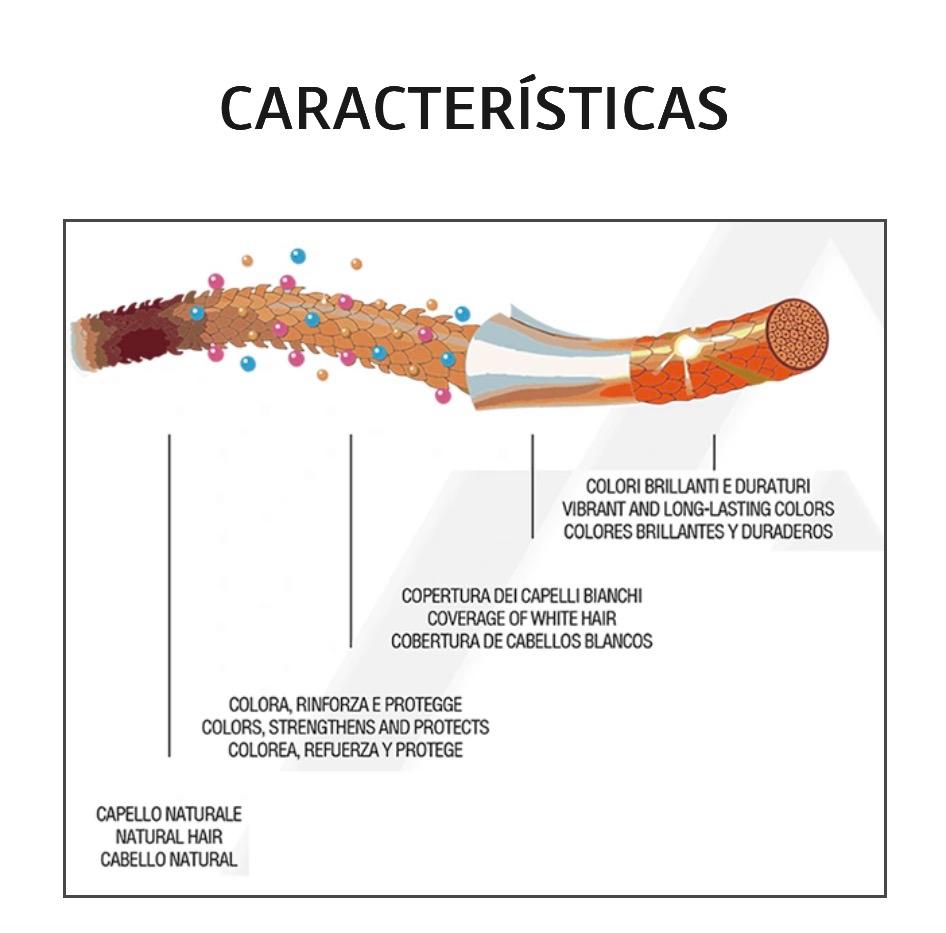 Características